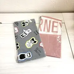 Item thumbnail for item 5d3b65fc-11ad-43fe-85e3-3601838056c5