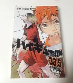 ハイキュー!! 33.5 ゴミ捨て場の決戦 映画特典