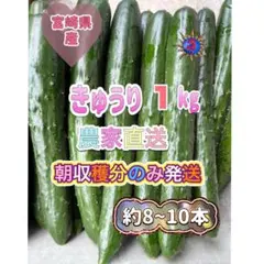 2026年最新】宮崎県の人気アイテム - メルカリ