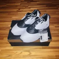 Reebok Answer V Low 26.0のサムネイル