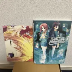 Soul Link公式ビジュアルガイド