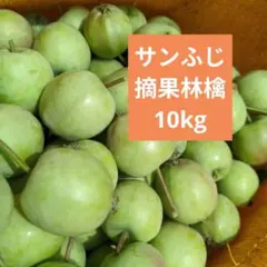 摘果林檎　サンふじりんご　加工用　10kg 送料込み 17のサムネイル