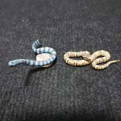 Item thumbnail for item 33e75c3d-bc44-4587-ab4c-f73db3749ede