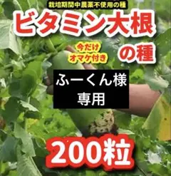 ふーくん様専用★ビタミン大根➕他2点⭕️まとめ買い御利用で20%OFFに‼️