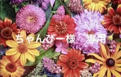 ちゃんぴー様　専用