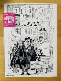 ワンピース オールページ ベッジ シフォン ペッツ