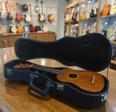 Item thumbnail for item d721daa6-08f4-48be-ad6f-e37505e8155d