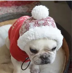 ポチョムキン フレンチブルドッグ　 ニットキャップ 雪の結晶模様