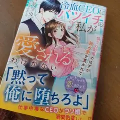 冷血CEOにバツイチの私が愛されるわけがない
