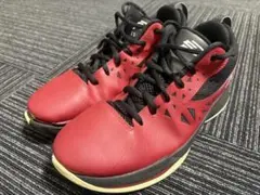 jordan cp3 Ⅴ 25.0cm バスケ NBA ジョーダン クリスポール