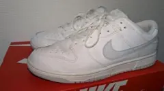 Nike Dunk Low Retro White/Pure Platinum