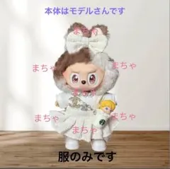 264【新品】普通ブブ用　ロゴcc服6点セット