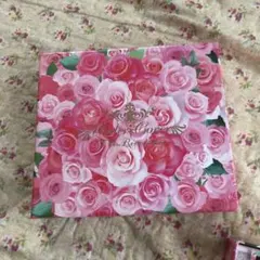 UNDER:COVER TMレボリューション