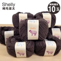 シェリー 純毛並太 ウール100％【元廣】col.2017（ブラウン）－10玉