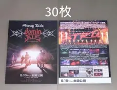 Stray Kids　ワールドツアー　ドキュメンタリー　フライヤー　30枚