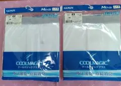 グンゼ　クールマジックプラス2枚セット　Mサイズ ロングパンツ　日本製　ステテコのサムネイル