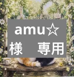 amu☆様　専用
