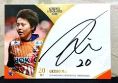 Item thumbnail for item 5107d948-2f31-4e76-989e-764da67ce403