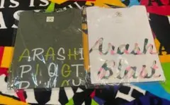 Item thumbnail for item f17c6459-6ab6-4e93-bfc0-bd028d9def33