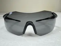 swans gullwing carving サングラス　スワンズ　ガルウイング