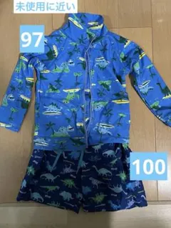 恐竜柄 水着セット 100cm前後　ラッシュガード