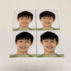 伊藤翔真 Myojo データカード デタカ