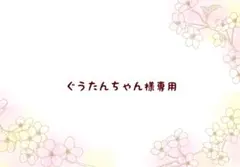 ぐうたんちゃん様 リクエスト 2点 まとめ商品