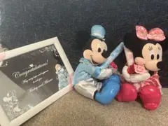 Disney ミッキー＆ミニー ぬいぐるみ ペアセット