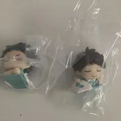 ハイキュー　おねむたん　青城 2個セット