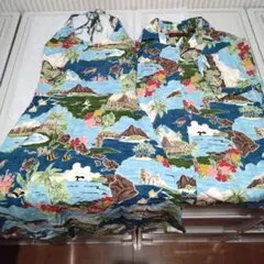 Item thumbnail for item f46e433a-92d8-40e2-8d66-27995bb55b89