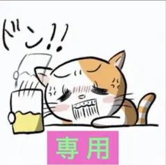 ゆう様　専用　※本文確認お願いいたします