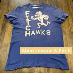 アバクロTシャツ　Abercrombie & Fitch メンズTシャツ