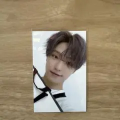 CARAT LAND 2021 トレカ ディノ