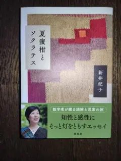 夏蜜柑とソクラテス　新井紀子