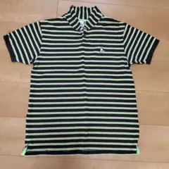 チャムス　ポロシャツ　Ｍサイズ　スタンドカラー ボーダー