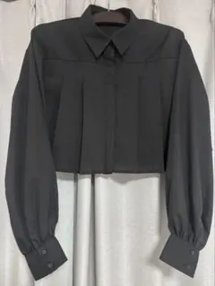 Libby&Rose ブロードプリーツクロップドシャツ Mサイズのサムネイル