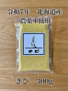 【元祖古代米販売店】令和7年　北海道産　農薬不使用　もちきび　雑穀　300gのサムネイル