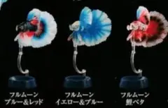 ガシャポン オンライン いきもの大図鑑 アドバンス ベタ フルムーン 3種 金魚