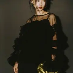 ANDRESD デコラティブチュールトップス 希少黒 結婚式 ワンピース ドレス