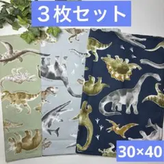３枚組★ランチョンマット★給食ナフキン★恐竜A