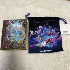 ディズニーシー Fantasy Springs チョコレートアソート缶 ＆ 巾着