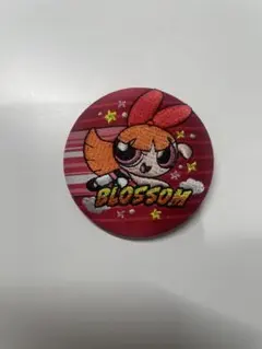 パワーパフガールズ ブロッサム
