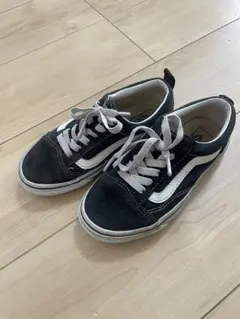 vansoldschool 20センチ