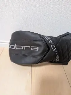 Item thumbnail for item 0cb1ed87-18ec-4574-923f-aaf5fad92166