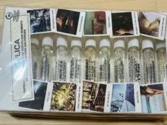 Maison Margiela REPLICAの香水10種類セット
