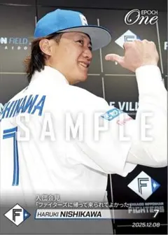 Item thumbnail for item 73d7500c-26fc-486b-9bb2-41164ad331b2