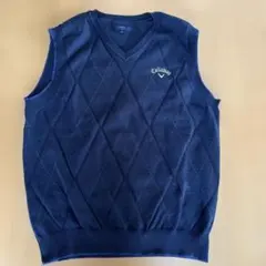 Item thumbnail for item 141ddd5e-51fe-4808-b32c-f4758391a00b