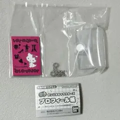 サンリオキャラクターズ　プロフィール帳　チャーミーキティ