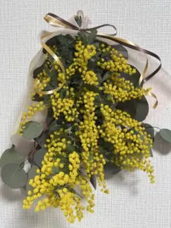 Item thumbnail for item 9a66c552-e006-447f-9977-0c1d5bf93c63