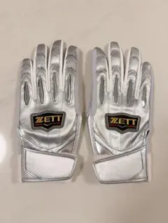 Item thumbnail for item 2cddbcfe-85a2-4aee-88c5-5b3146b76e70